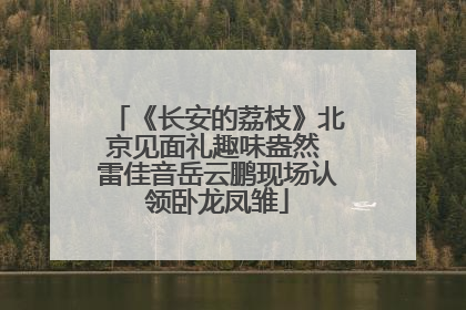 《长安的荔枝》北京见面礼趣味盎然 雷佳音岳云鹏现场认领卧龙凤雏