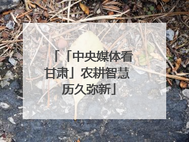 「中央媒体看甘肃」农耕智慧 历久弥新