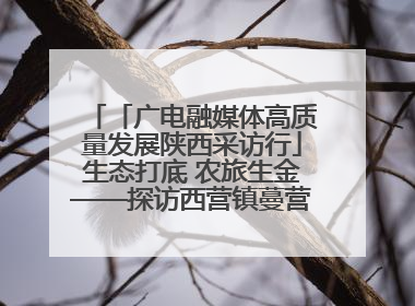 「广电融媒体高质量发展陕西采访行」生态打底 农旅生金——探访西营镇蔓营村省级旅游示范村的振兴密码