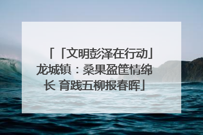 「文明彭泽在行动」龙城镇：桑果盈筐情绵长 育践五柳报春晖
