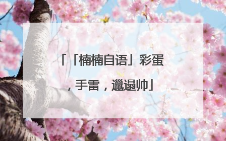 「楠楠自语」彩蛋，手雷，邋遢帅