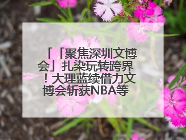 「聚焦深圳文博会」扎染玩转跨界！大理蓝续借力文博会斩获NBA等联名大单