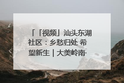 「视频」汕头东湖社区：乡愁归处 希望新生｜大美岭南·百村焕新记