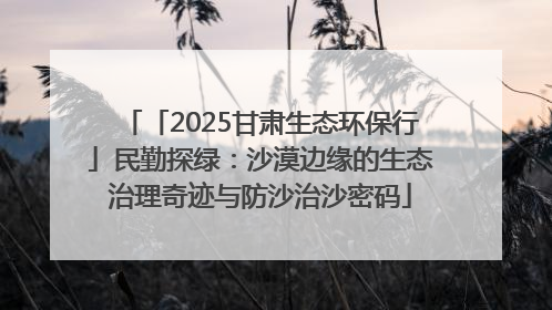 「2025甘肃生态环保行」民勤探绿：沙漠边缘的生态治理奇迹与防沙治沙密码