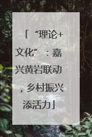 “理论+文化”：嘉兴黄岩联动，乡村振兴添活力