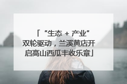 “生态 + 产业”双轮驱动，兰溪黄店开启高山西瓜丰收乐章