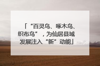 “百灵鸟、啄木鸟、织布鸟”，为仙居县域发展注入“新”动能