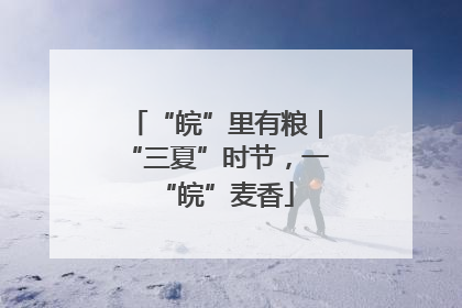 “皖”里有粮｜“三夏”时节，一“皖”麦香