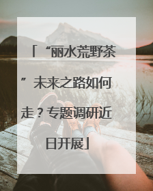 “丽水荒野茶”未来之路如何走？专题调研近日开展