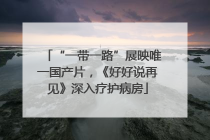 “一带一路”展映唯一国产片，《好好说再见》深入疗护病房