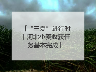 “三夏”进行时丨河北小麦收获任务基本完成