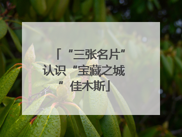 “三张名片”认识“宝藏之城”佳木斯