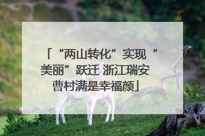 “两山转化”实现“美丽”跃迁 浙江瑞安曹村满是幸福颜