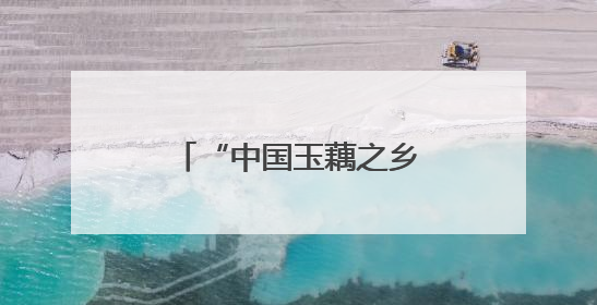 “中国玉藕之乡”柳州百朋镇玉藕抢“鲜”上市