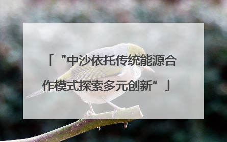 “中沙依托传统能源合作模式探索多元创新”