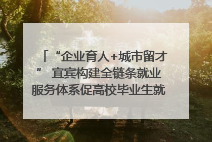 “企业育人+城市留才” 宜宾构建全链条就业服务体系促高校毕业生就业｜您牵挂的四川