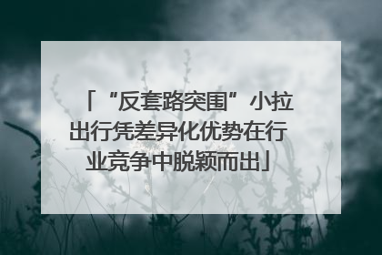 “反套路突围”小拉出行凭差异化优势在行业竞争中脱颖而出