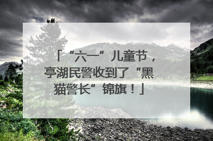 “六一”儿童节，亭湖民警收到了“黑猫警长”锦旗！