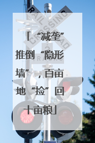 “减垄”推倒“隐形墙”，百亩地“捡”回十亩粮