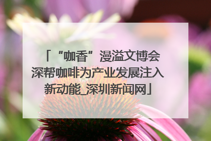 “咖香”漫溢文博会 深帮咖啡为产业发展注入新动能_深圳新闻网