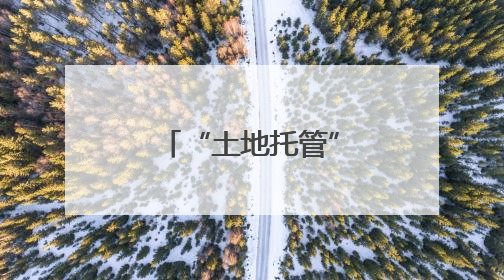 “土地托管”让农户当上“甩手掌柜”