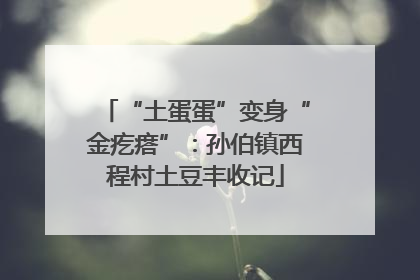 “土蛋蛋”变身“金疙瘩”：孙伯镇西程村土豆丰收记