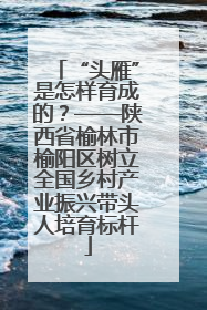 “头雁”是怎样育成的？——陕西省榆林市榆阳区树立全国乡村产业振兴带头人培育标杆