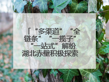 “多渠道”“全链条”“一揽子”“一站式”解纷 湖北赤壁积极探索综治中心规范化建设新路子