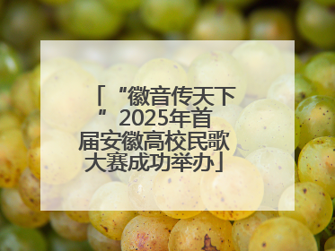 “徽音传天下”2025年首届安徽高校民歌大赛成功举办