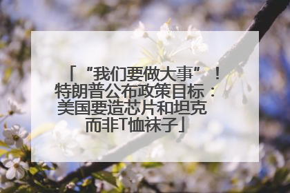 “我们要做大事”！特朗普公布政策目标：美国要造芯片和坦克 而非T恤袜子
