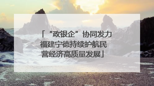 “政银企”协同发力 福建宁德持续护航民营经济高质量发展