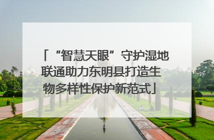 “智慧天眼”守护湿地 联通助力东明县打造生物多样性保护新范式