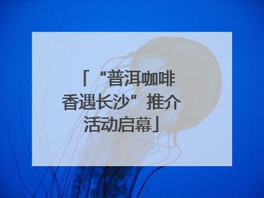 “普洱咖啡 香遇长沙”推介活动启幕