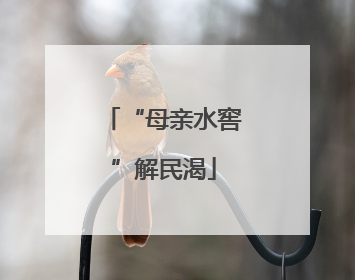 “母亲水窖”解民渴