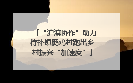 “沪滇协作”助力待补镇鹧鸡村跑出乡村振兴“加速度”