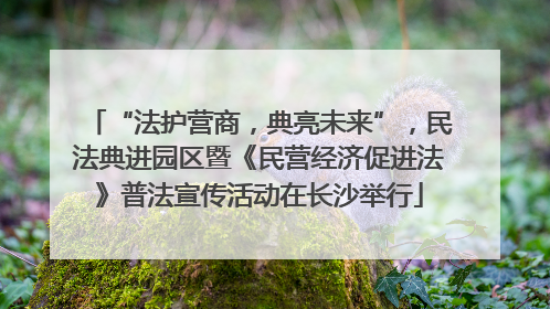 “法护营商，典亮未来”，民法典进园区暨《民营经济促进法》普法宣传活动在长沙举行