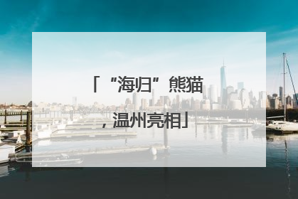 “海归”熊猫，温州亮相