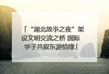 “湖北故事之夜”架设文明交流之桥 国际学子共叙东游情缘