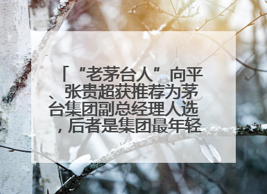 “老茅台人”向平、张贵超获推荐为茅台集团副总经理人选，后者是集团最年轻党委委员