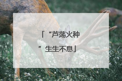 “芦荡火种”生生不息
