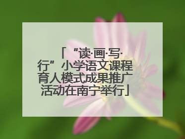 “读·画·写·行”小学语文课程育人模式成果推广活动在南宁举行