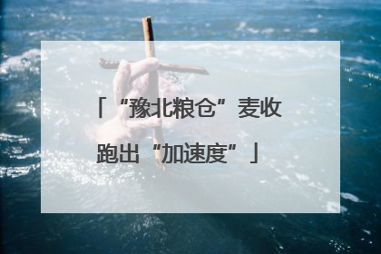 “豫北粮仓”麦收跑出“加速度”