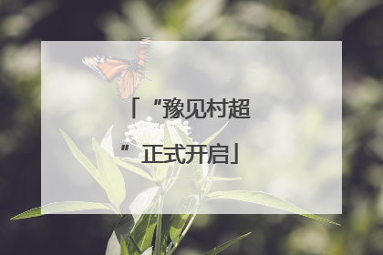 “豫见村超”正式开启