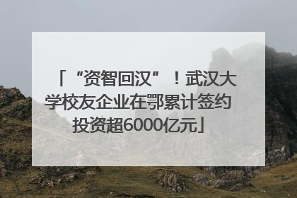 “资智回汉”！武汉大学校友企业在鄂累计签约投资超6000亿元