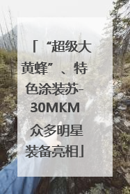 “超级大黄蜂”、特色涂装苏-30MKM 众多明星装备亮相