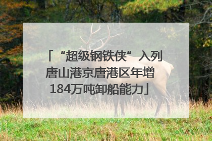 “超级钢铁侠”入列 唐山港京唐港区年增184万吨卸船能力