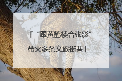 “跟黄鹤楼合张影”带火多条文旅街巷