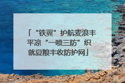 “铁翼”护航麦浪丰 平凉“一喷三防”织就夏粮丰收防护网