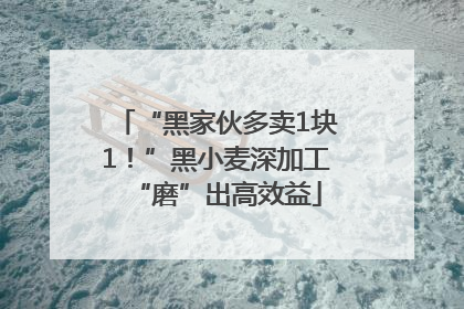 “黑家伙多卖1块1！”黑小麦深加工“磨”出高效益