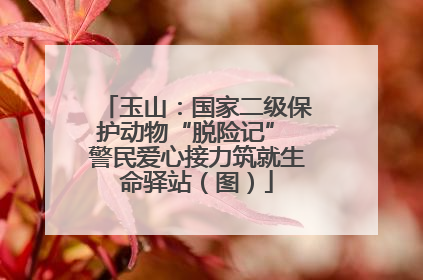 玉山：国家二级保护动物“脱险记” 警民爱心接力筑就生命驿站（图）
